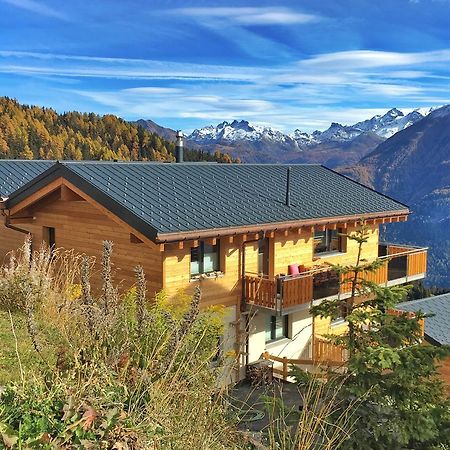 Chalet La Cordee Bettmeralp Exteriér fotografie
